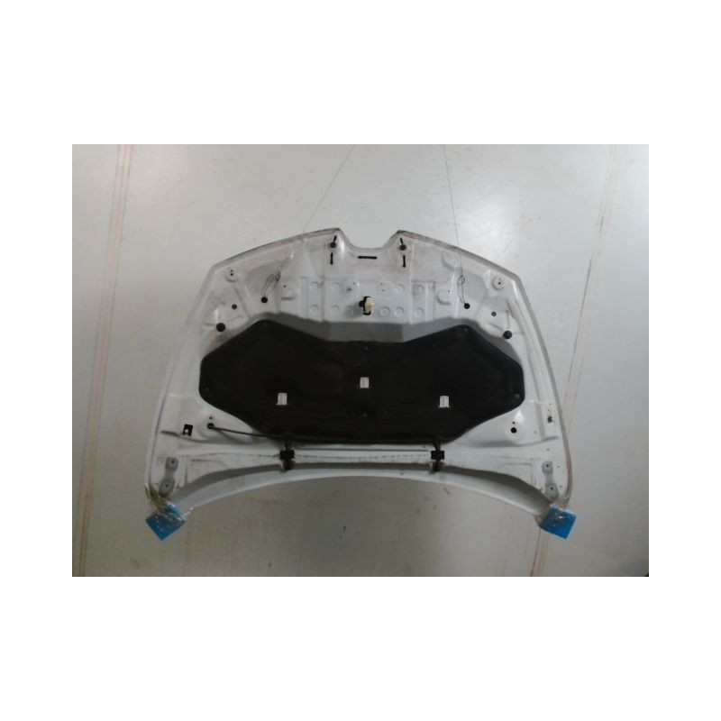 CAPOT RENAULT CLIO