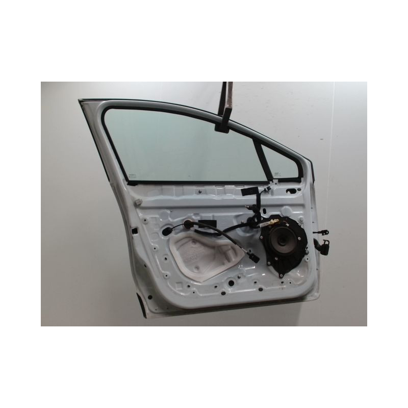 PORTE AVANT GAUCHE RENAULT CLIO IV Phase 1 2012-...