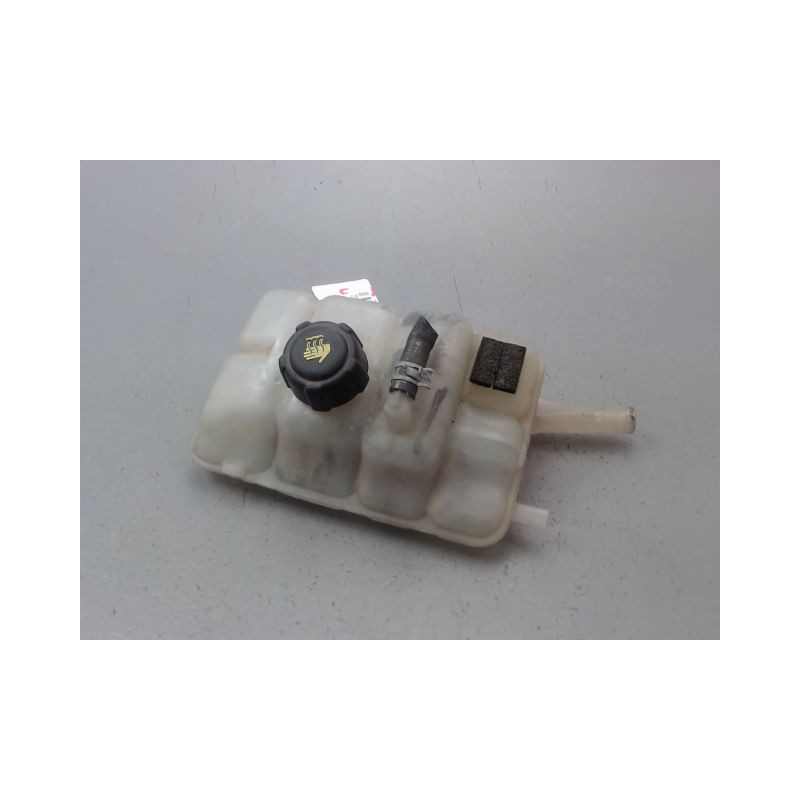 VASE EXPANSION RENAULT MEGANE