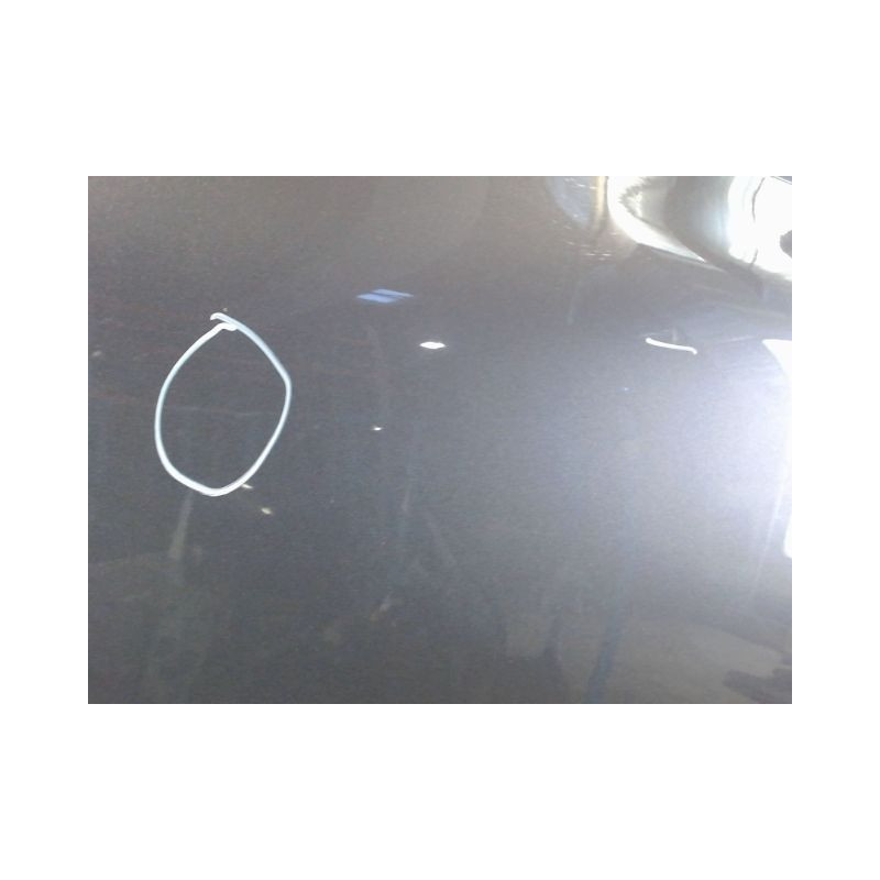 PORTE ARRIERE GAUCHE RENAULT SCENIC