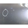 PORTE ARRIERE GAUCHE RENAULT SCENIC