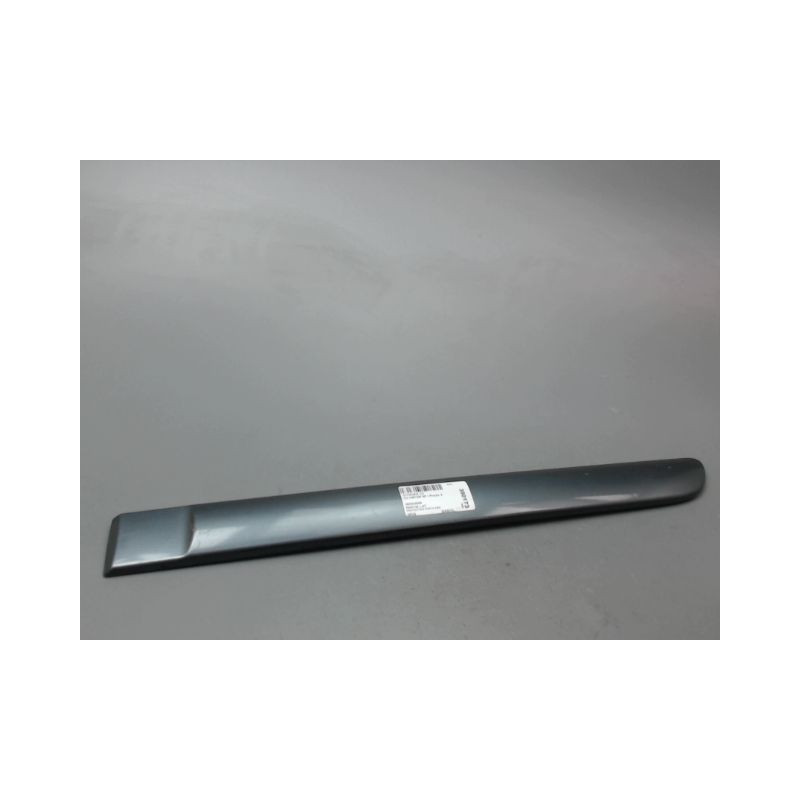 PROTECTION PORTE ARRIERE GAUCHE CITROEN C3