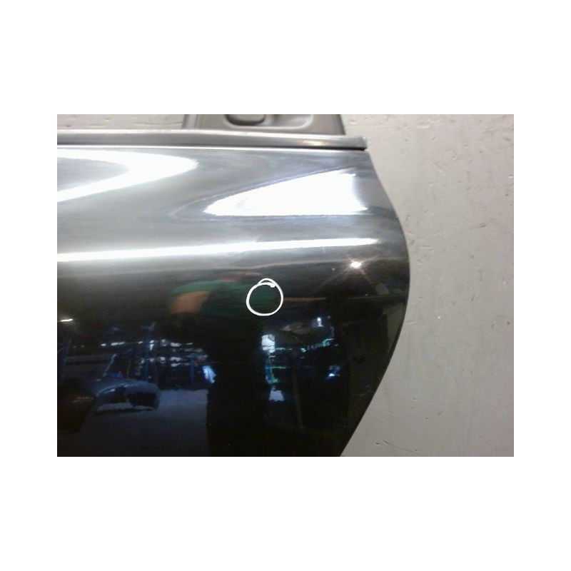 PORTE ARRIERE GAUCHE RENAULT CLIO