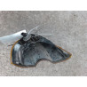 CLIGNOTANT GAUCHE RENAULT MODUS 2004-2007