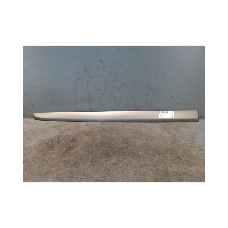 PROTECTION PORTE AVANT GAUCHE RENAULT MODUS 2008-