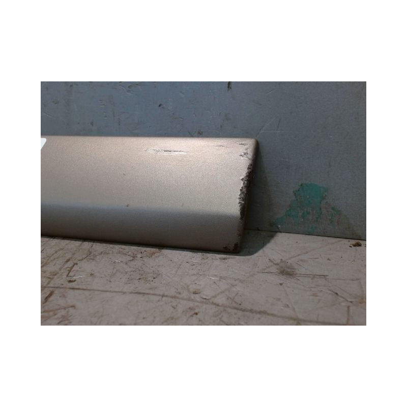 PROTECTION PORTE AVANT GAUCHE RENAULT MODUS 2008-
