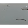 PORTE ARRIERE GAUCHE RENAULT MEGANE