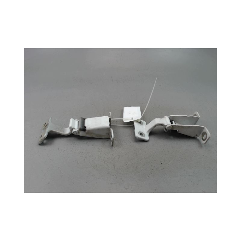 CHARNIERE SUP PORTE BATTANTE ARG RENAULT KANGOO EXPRESS II Phase 2 2013-...
