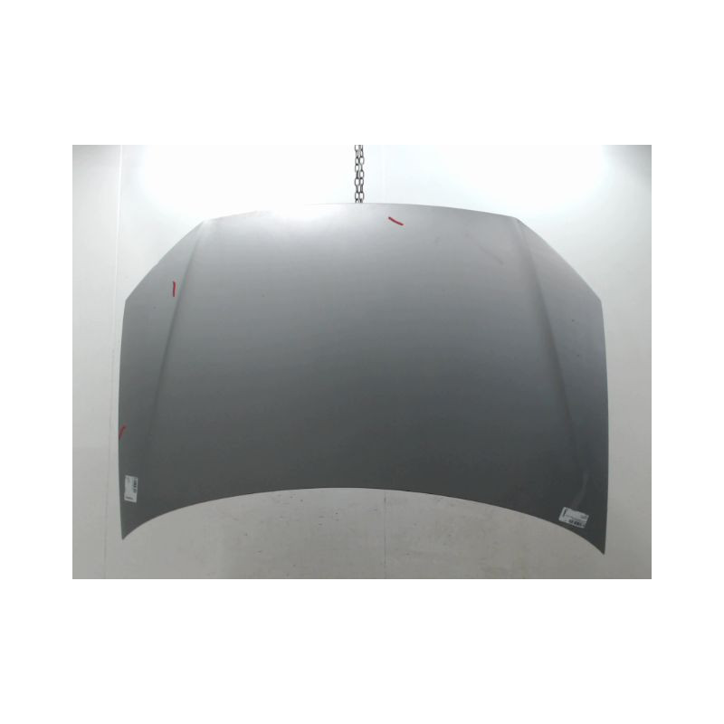 CAPOT VOLKSWAGEN POLO IV Phase 2 (9N) 2005-2009