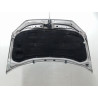 CAPOT VOLKSWAGEN POLO IV Phase 2 (9N) 2005-2009