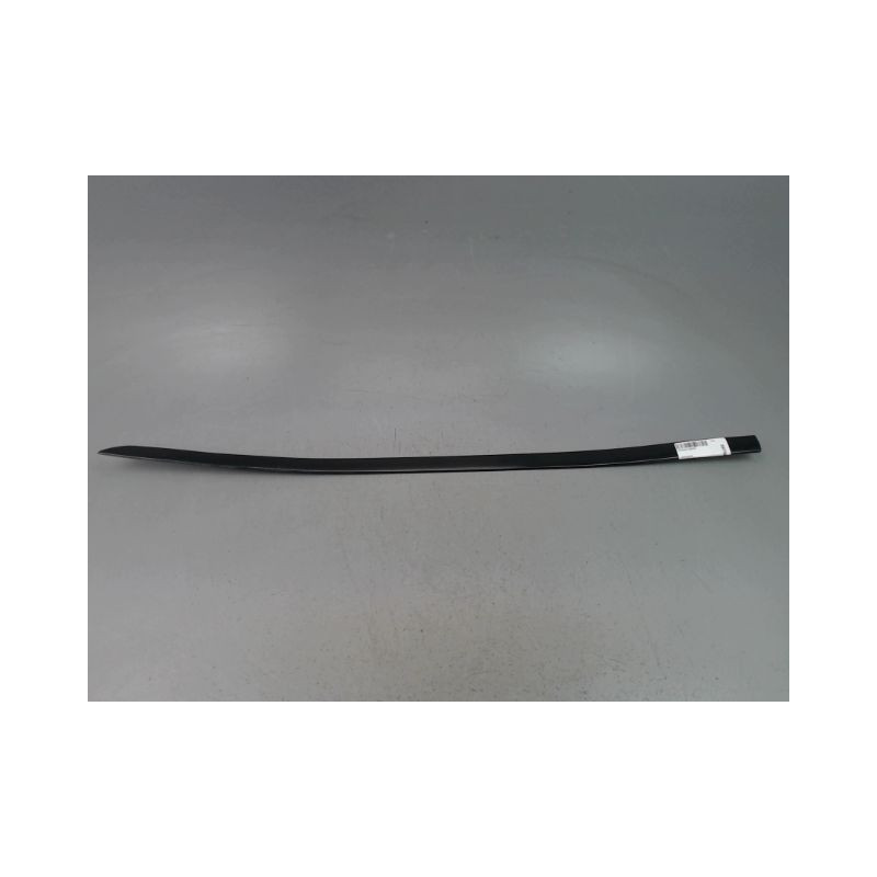 PROTECTION PORTE AVANT GAUCHE SKODA RAPID