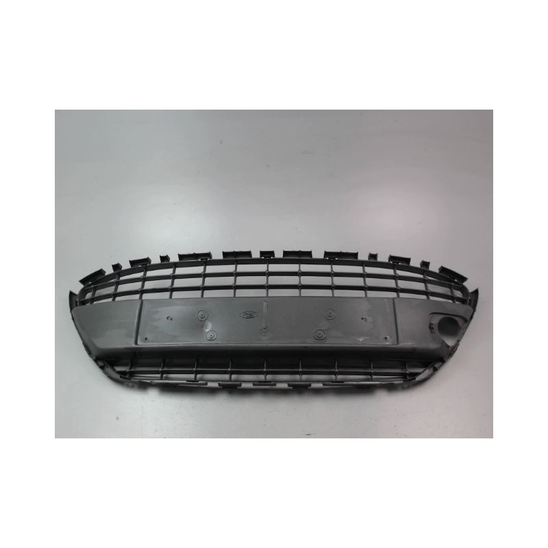 GRILLE PARE-CHOC AVANT FORD FIESTA