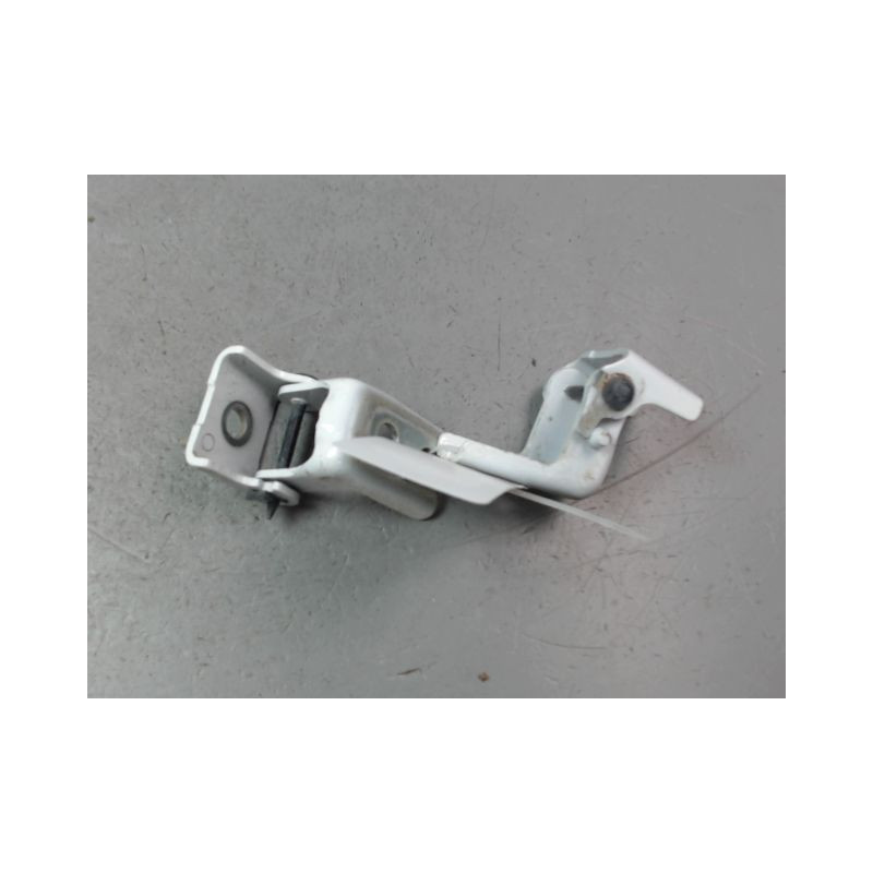 CHARNIÈRE PORTE ARG PEUGEOT 308 2009-