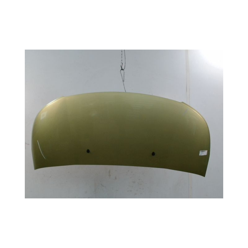 CAPOT CITROEN C3