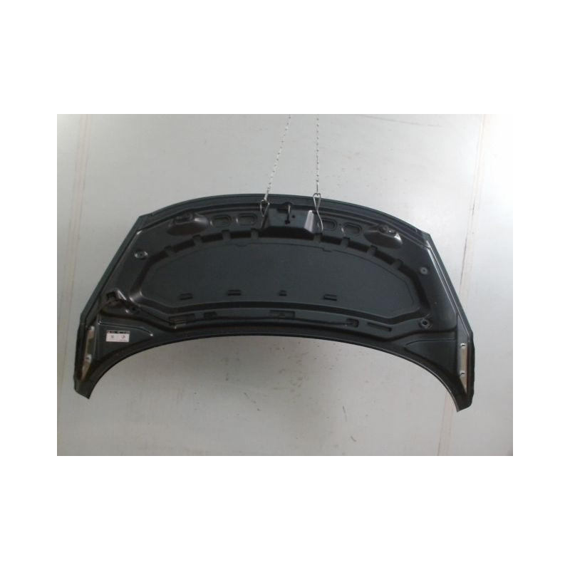 CAPOT PEUGEOT 207