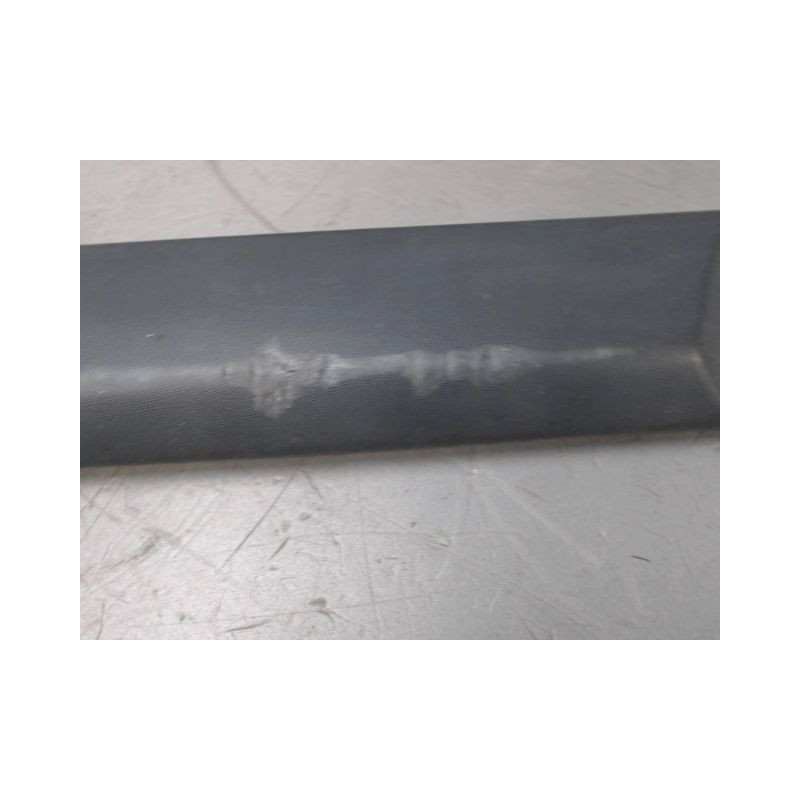 PROTECTION PORTE ARRIERE GAUCHE RENAULT CLIO