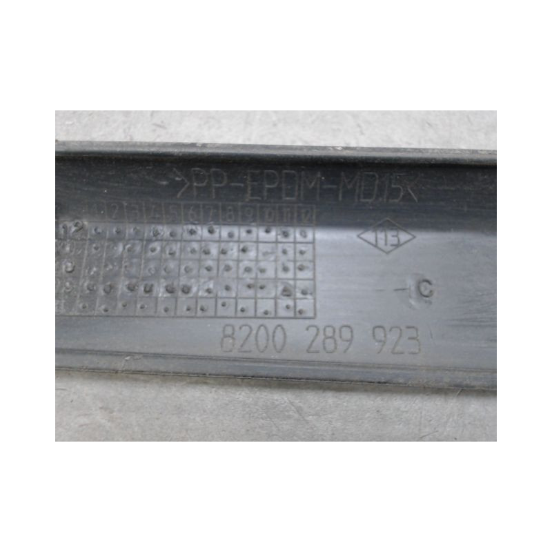 PROTECTION PORTE ARRIERE GAUCHE RENAULT CLIO