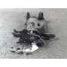 ETRIER DE FREIN ARRIERE GAUCHE VOLKSWAGEN CADDY COMBI 2004-