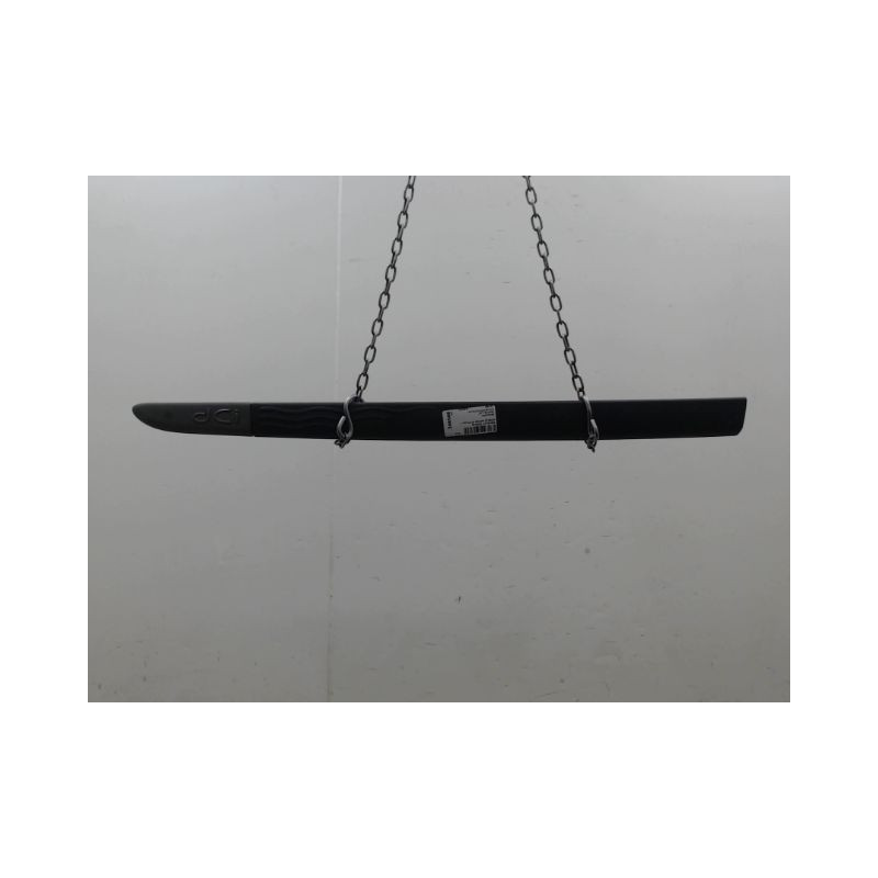PROTECTION PORTE AVANT GAUCHE RENAULT MODUS Phase 1 2004-2007