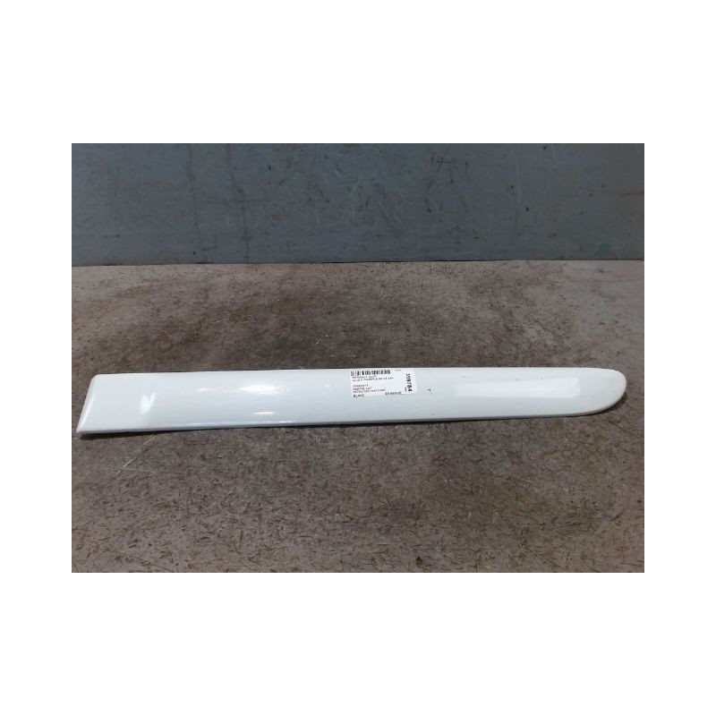 PROTECTION PORTE ARRIERE GAUCHE RENAULT CLIO II CAMPUS 06-
