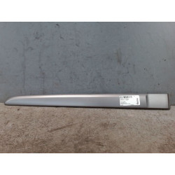 PROTECTION PORTE ARG