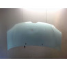 CAPOT RENAULT TWINGO