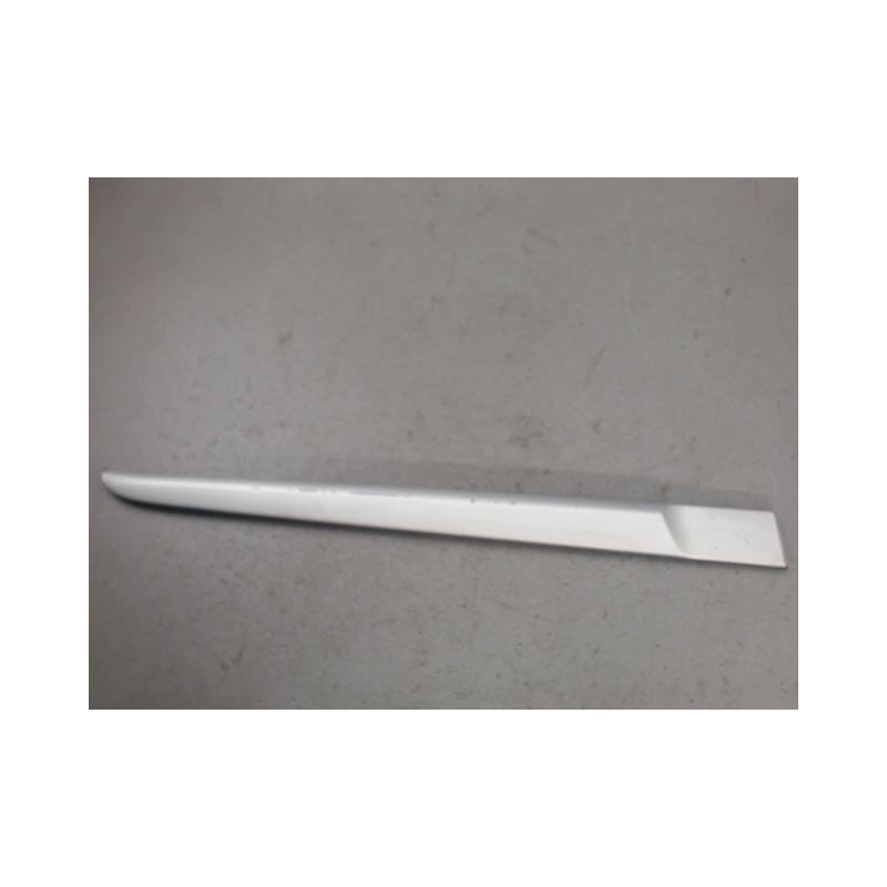 PROTECTION PORTE ARRIERE DROIT RENAULT CLIO