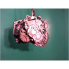 BOITE A VITESSE MECANIQUE FIAT STILO 01-07 1.9 JTD 