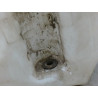 RESERVOIR LAVE-GLACE AVANT SKODA SUPERB