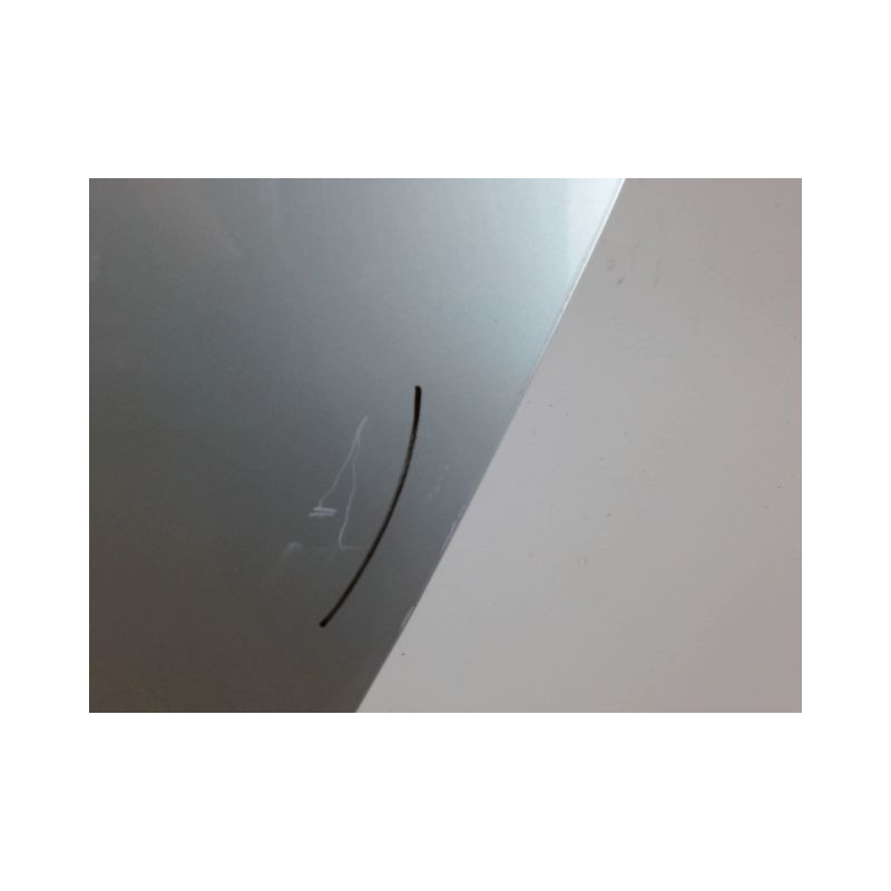 PORTE ARRIERE GAUCHE RENAULT CLIO