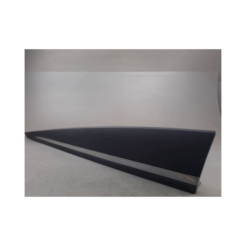 PROTECTION PORTE AVANT GAUCHE RENAULT CLIO IV ESTATE 2012-2016
