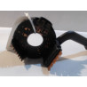 COMMANDE CLIGNOTANT SEAT IBIZA 99-2002