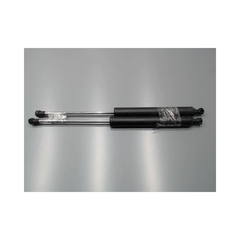 VERIN HAYON G RENAULT VEL SATIS Phase 1 2002-2005