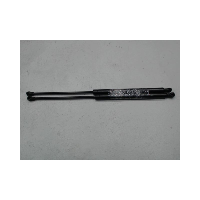 VERIN HAYON G PEUGEOT 206 1998-2009