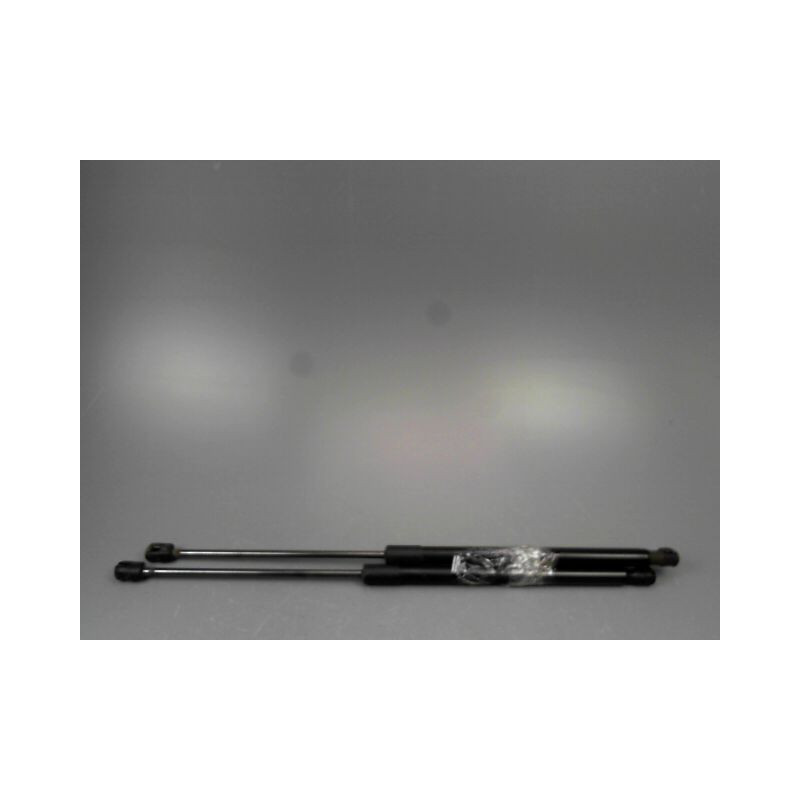 VERIN HAYON G FORD FIESTA VI Phase 1 2002-2005