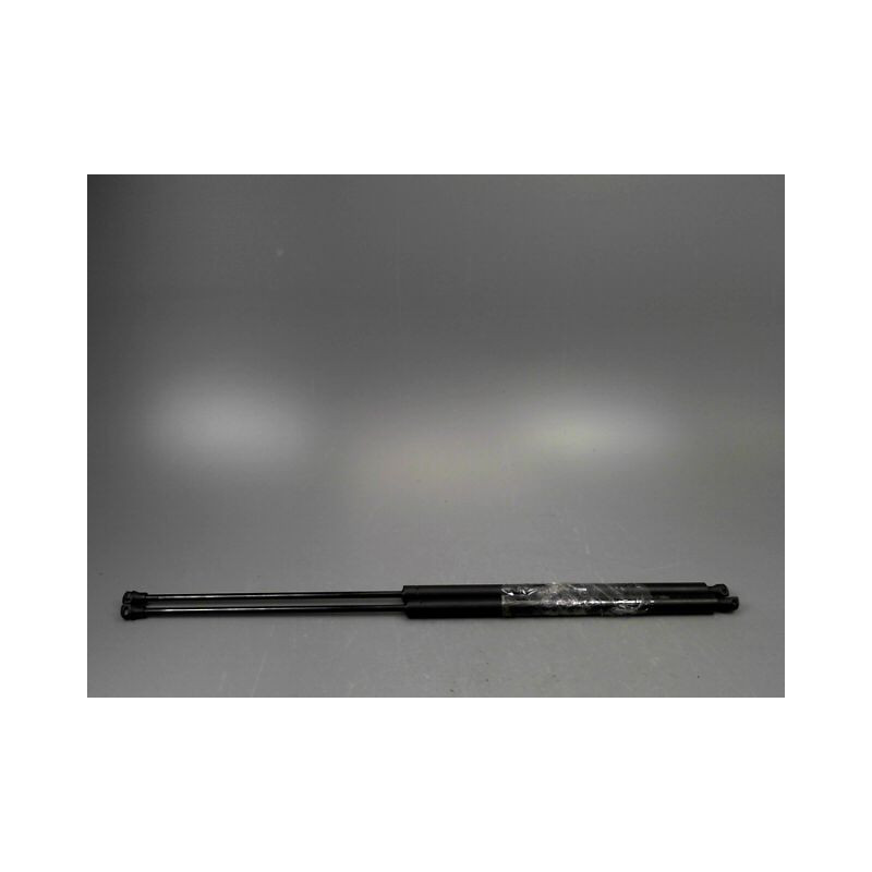 VERIN HAYON G CITROEN XSARA PICASSO MONOSP. 1999-2010