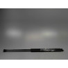 VERIN HAYON G CITROEN XSARA PICASSO MONOSP. 1999-2010