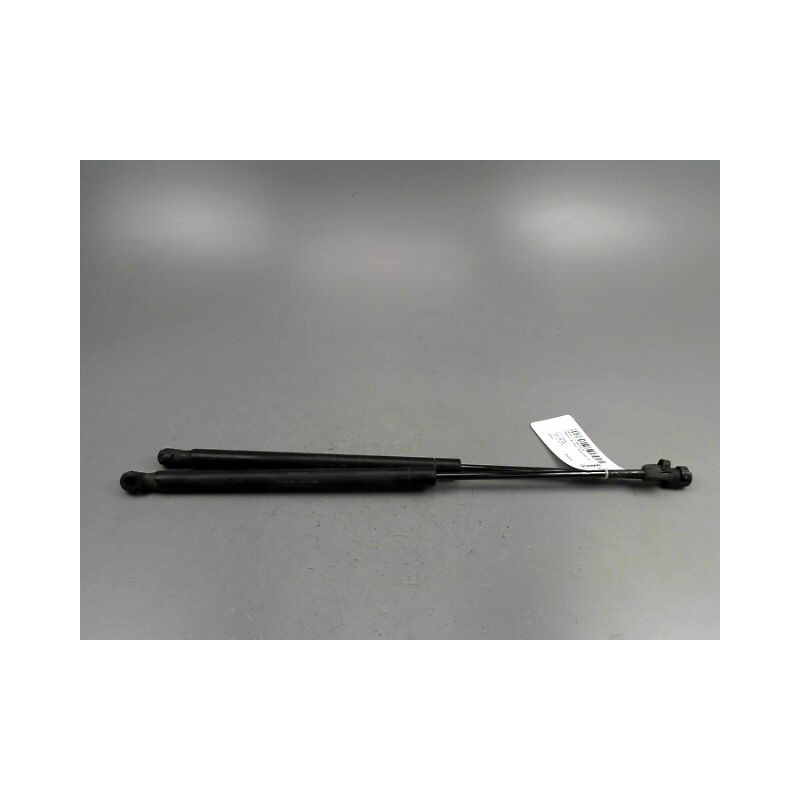 VERIN HAYON G RENAULT GRAND SCENIC MONOSP. II Phase 2 LONG 2006-2009