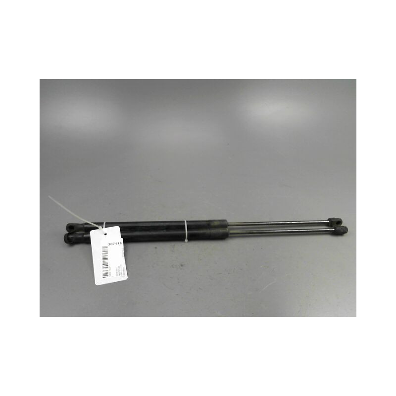 VERIN HAYON G FORD FIESTA VI Phase 1 2002-2005