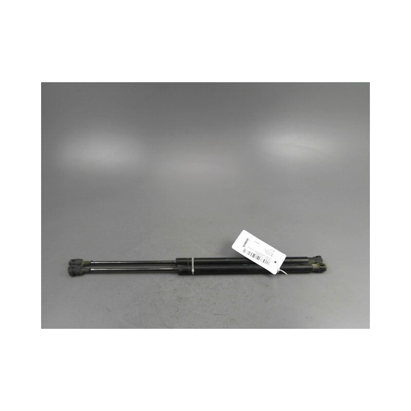 VERIN HAYON G RENAULT SCENIC MONOSP. II Phase 2 2006-2009