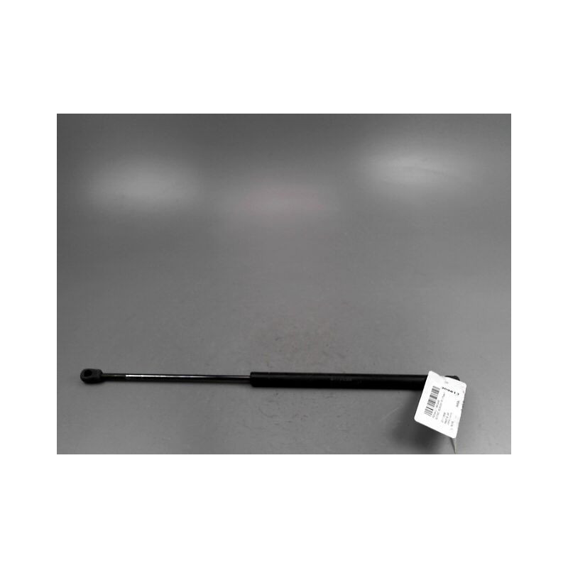 VERIN HAYON G RENAULT SCENIC MONOSP. II Phase 2 2006-2009