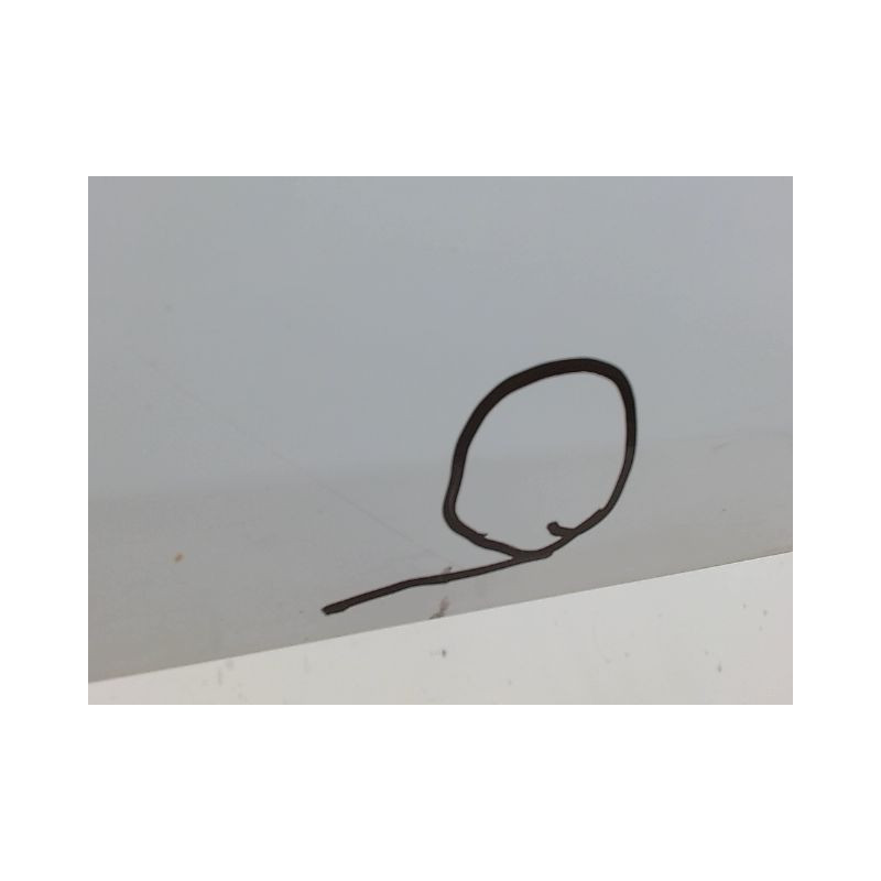 PORTE AVANT GAUCHE CITROEN C4