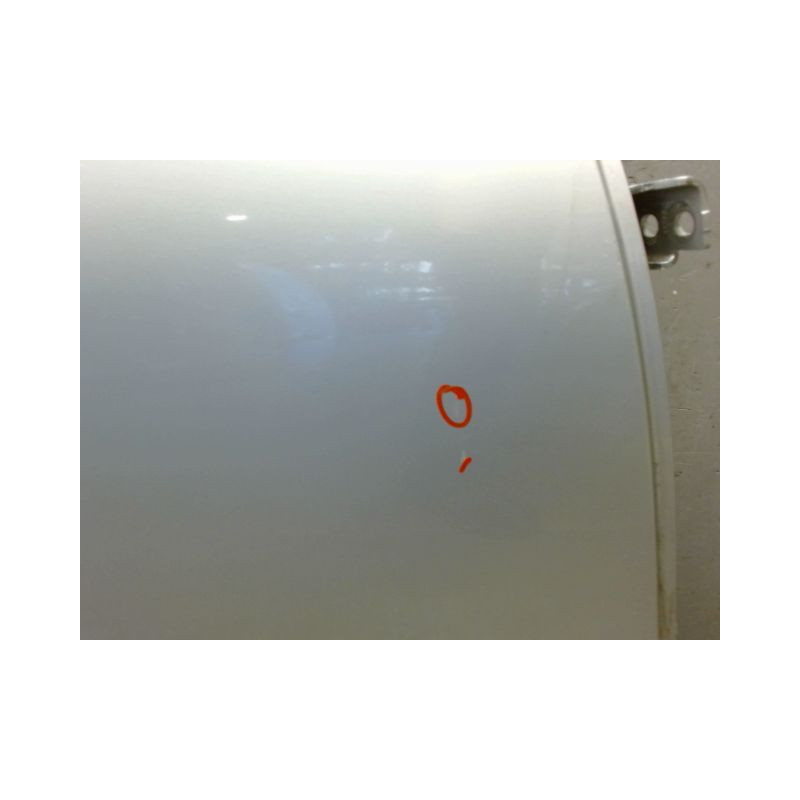 PORTE ARRIERE DROIT RENAULT CLIO