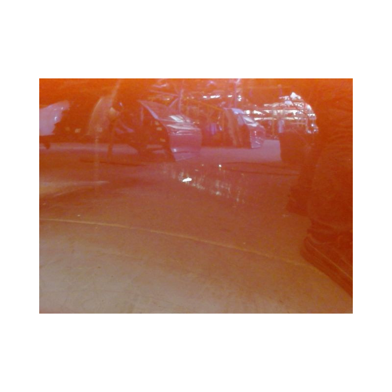 PORTE ARRIERE GAUCHE RENAULT CLIO