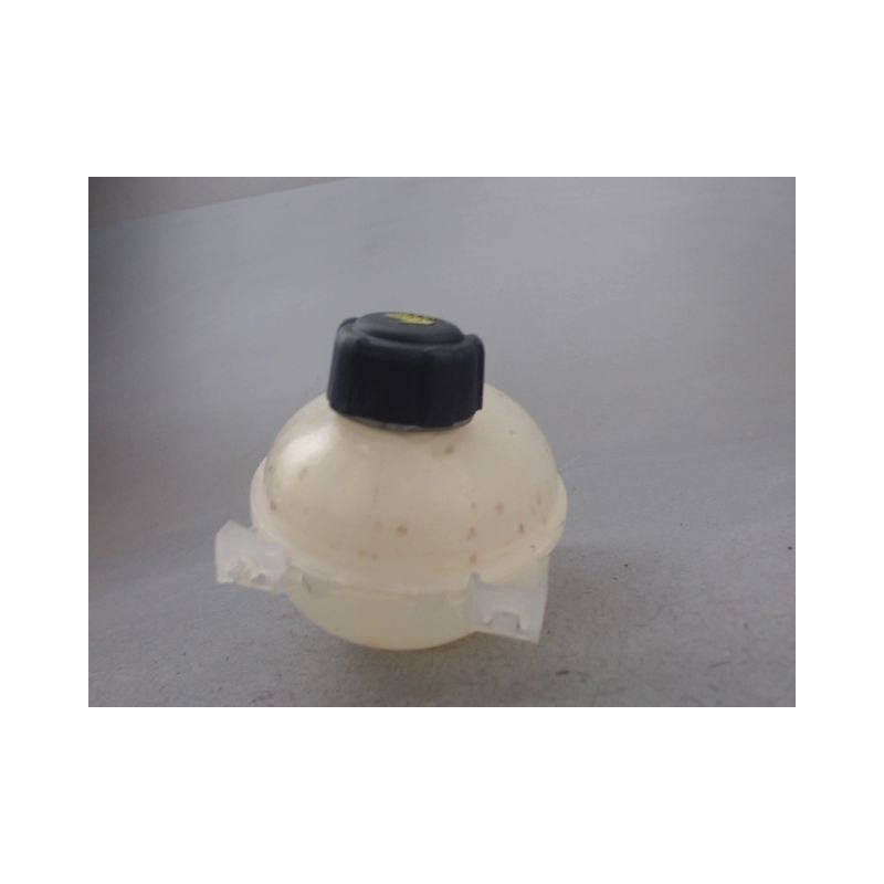 VASE EXPANSION RENAULT CLIO