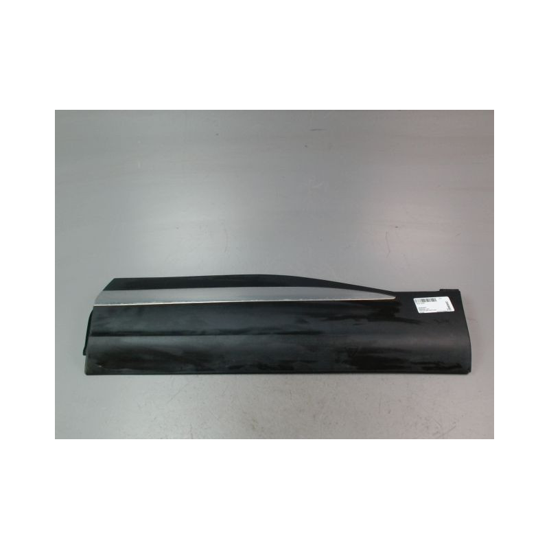 PROTECTION PORTE ARRIERE GAUCHE M.G. EHS