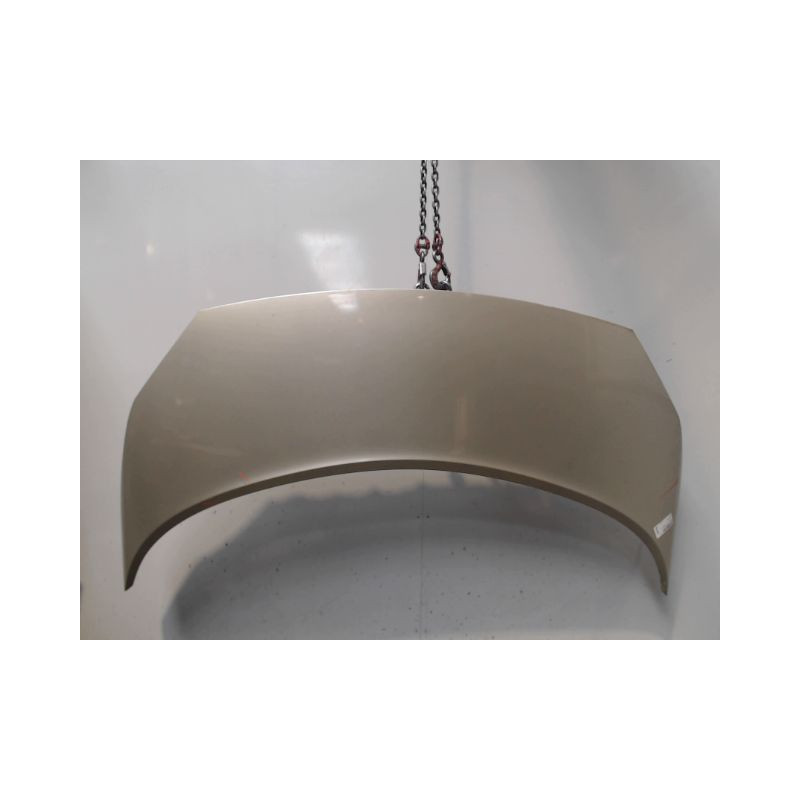 CAPOT RENAULT SCENIC II PH1 02-06