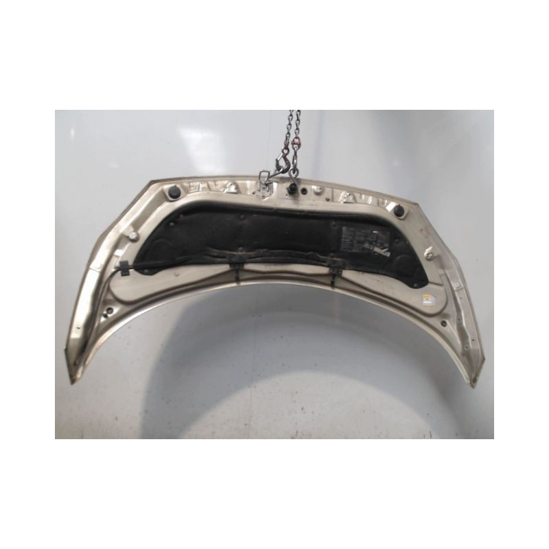 CAPOT RENAULT SCENIC II PH1 02-06
