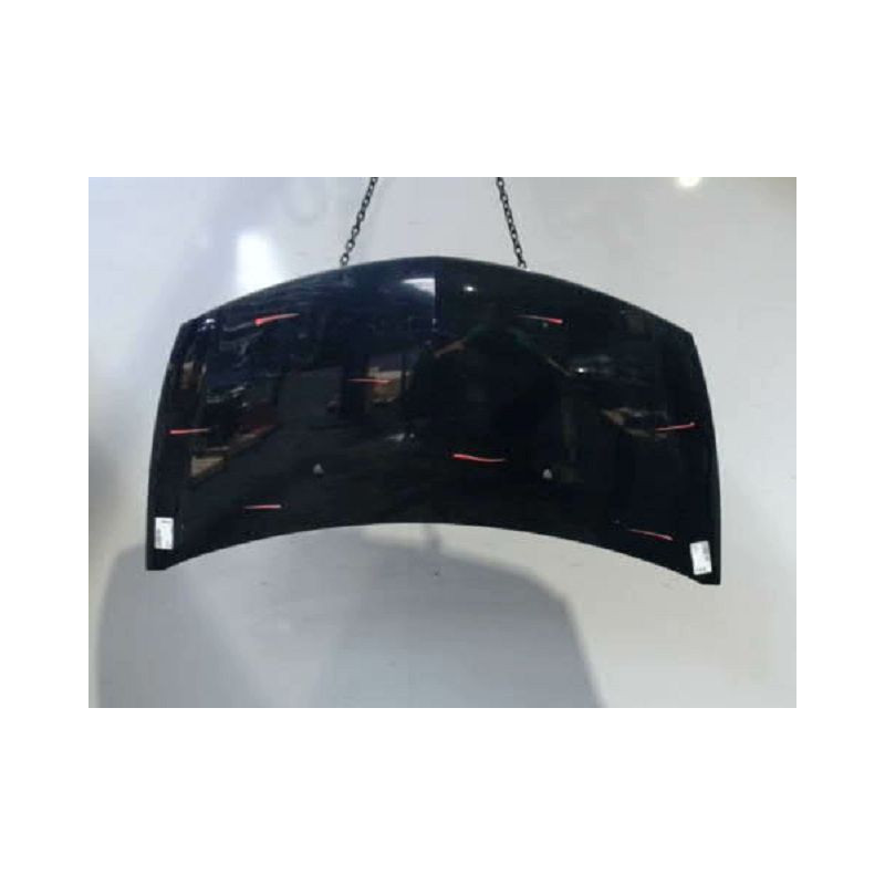 CAPOT RENAULT CLIO III 2010-