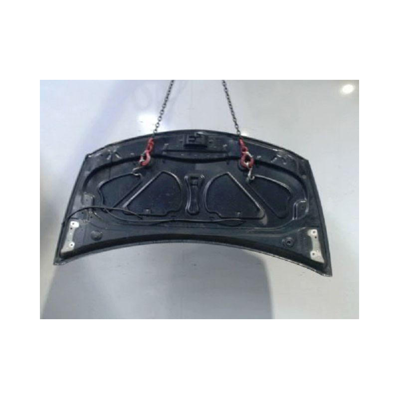 CAPOT RENAULT CLIO III 2010-